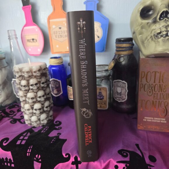 Where Shadows Meet by Patrice Caldwell Fairyloot March 2025 Eternal Embrace - Picture 4 of 8